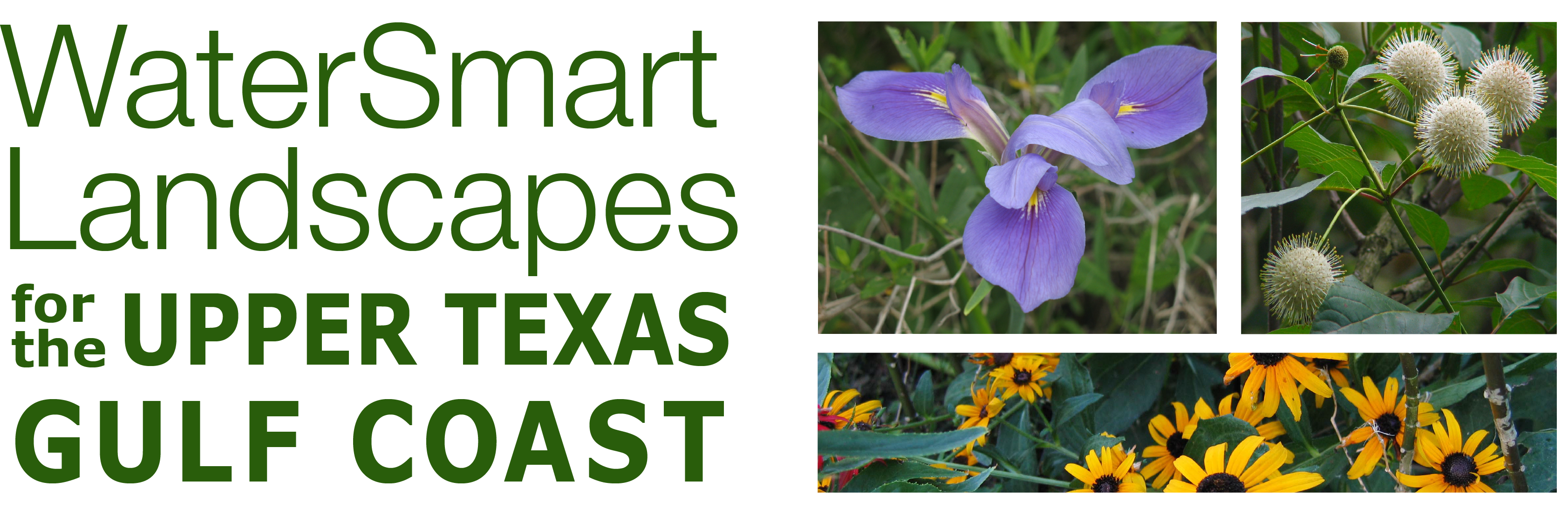 WaterSmart Landscapes for the Upper Texas Gulf Coast