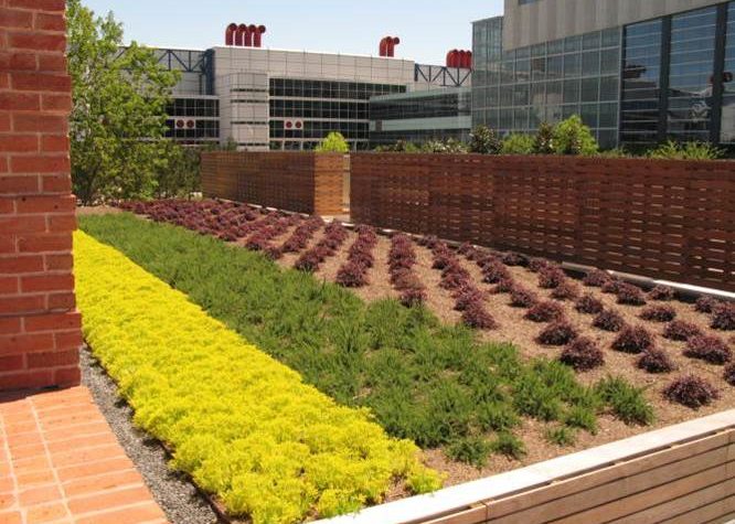 Green Roof – Downtown