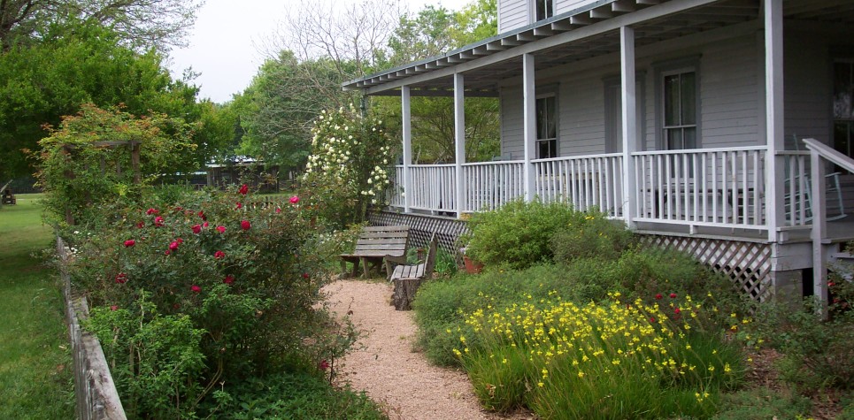 Armand Bayou Nature Center (2)