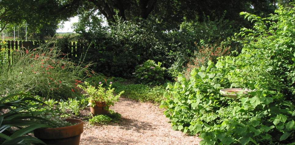 Armand Bayou Nature Center (6)