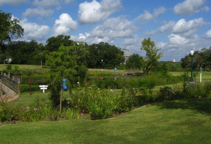 League City Rain Garden 1