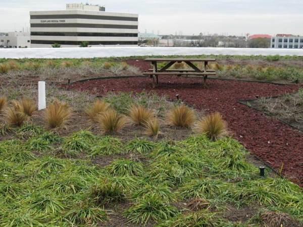 Green Roof – Medical Center Blvd